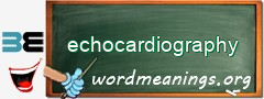 WordMeaning blackboard for echocardiography